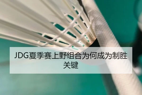 JDG夏季赛上野组合为何成为制胜关键